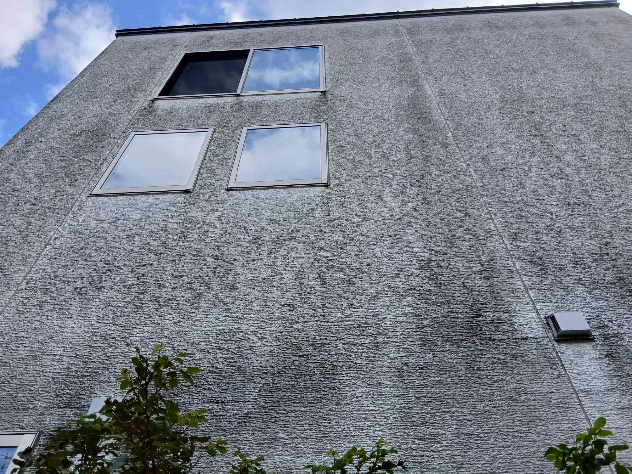 川口市でカビやコケは発生している建物の修理は株式会社共進にお任せ！