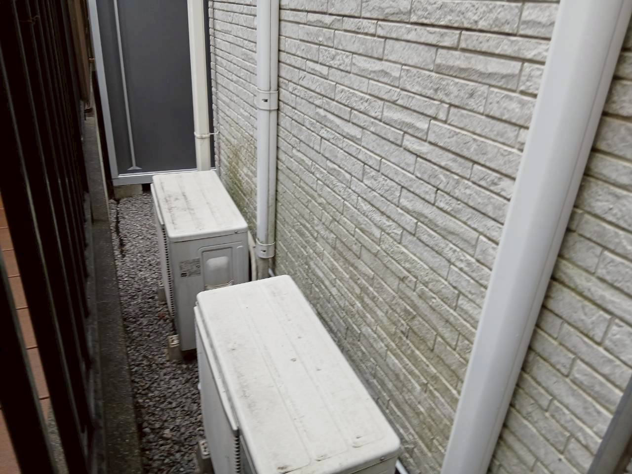 カビやコケの影響を受けた建物の症状