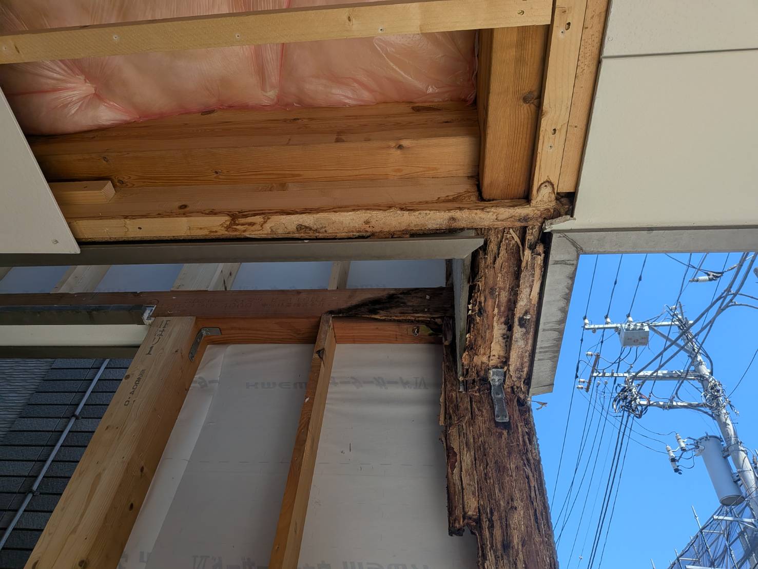 川口市のお客様必見！これは外壁からの雨漏れ・・・？早急な対応が建物の資産を守る！